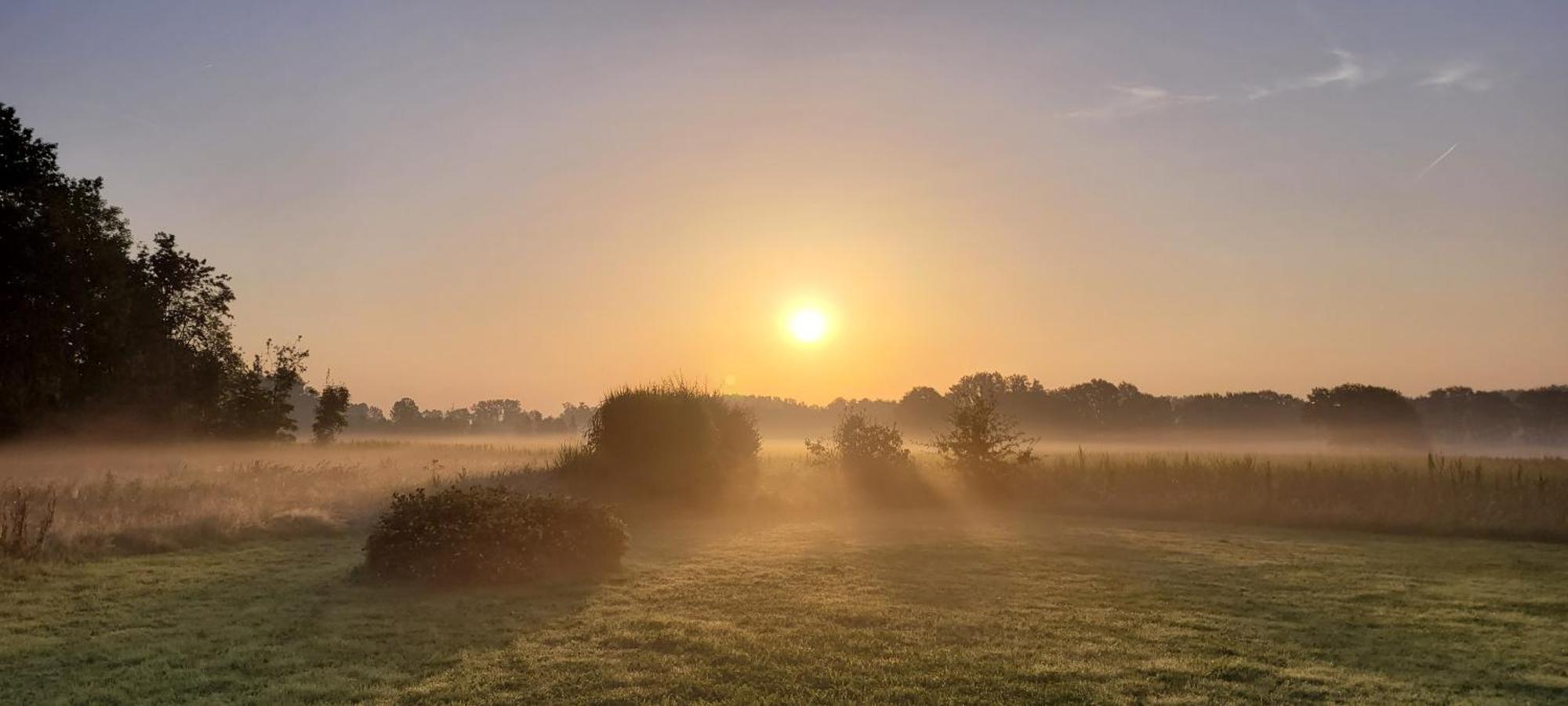B&B D'Hollehoeve Heist-op-den-Berg Exteriör bild